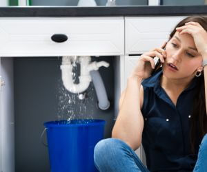 About Plumbers Pros Alden, MI